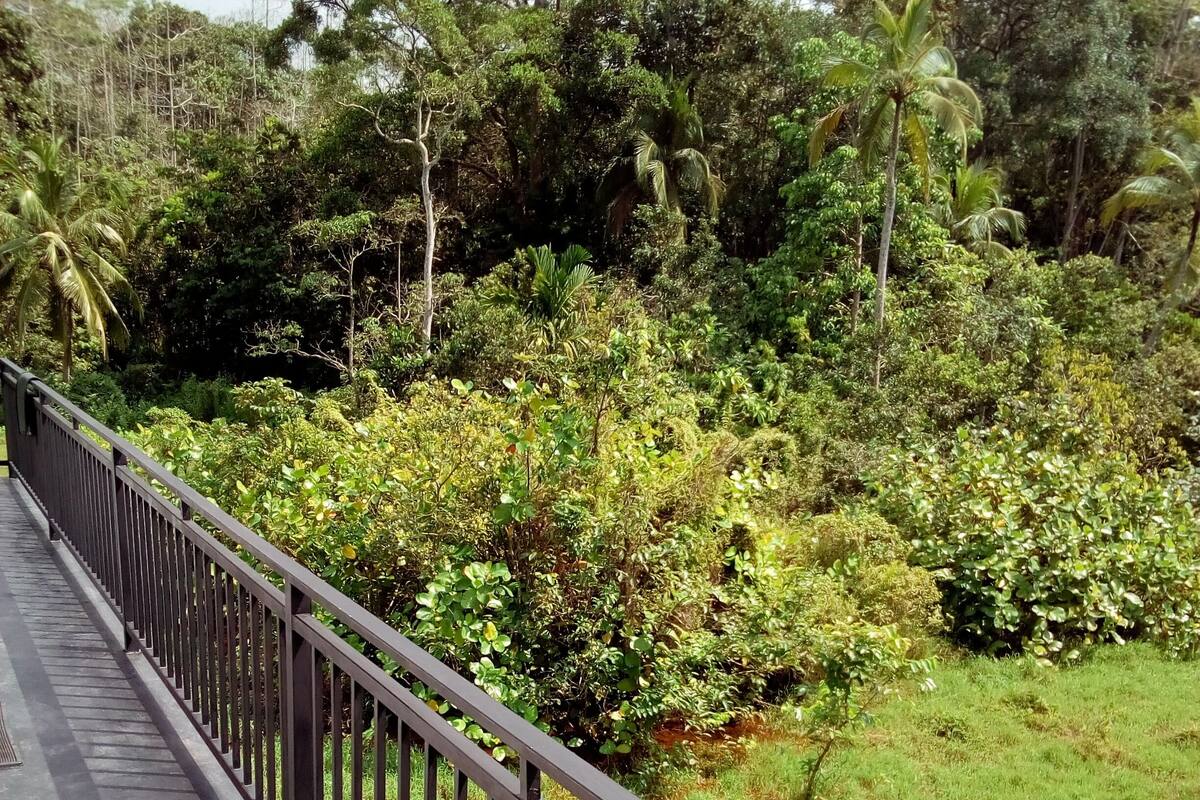 Chambre Double, balcon | Balcon