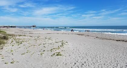 Casa Flamingo Family Beach Retreat w\ Heated pool, hot tub; Walk to Ocean & Pier