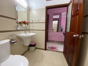 Hair dryer, soap, shampoo, toilet paper