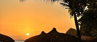 Purple Cottage, Hidden Gem near Hummingbird Beach