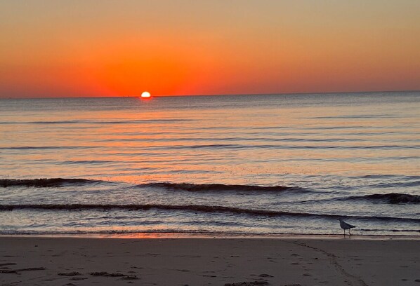 Playa en los alrededores y camastros 