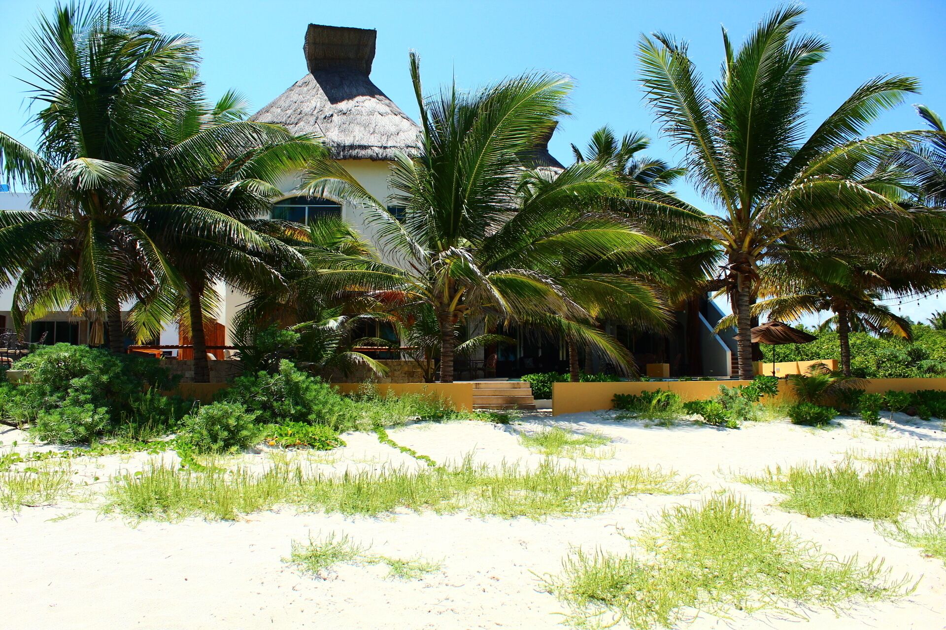 A beach house with a thatched roof, surrounded by palm trees and a sandy foreground.