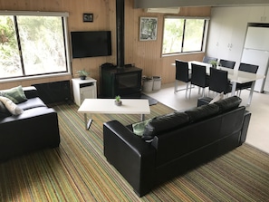 TV, fireplace, DVD player, ping pong