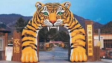 Una gran puerta inflable con forma de tigre en la entrada de un hotel, con montañas al fondo.