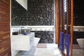 Shower, hair dryer, towels, toilet paper