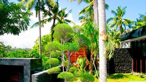 Un jardin tropical avec des palmiers, un mur de pierre et un bâtiment moderne.