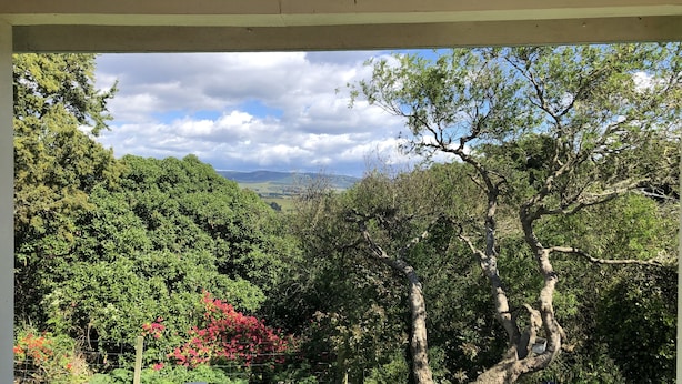 A view from a window overlooking a lush garden with a variety of trees and shrubs, a fence, and a distant landscape.