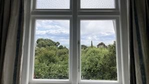 A window with a view of a lush green landscape and trees.