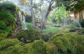 Property grounds - Best in Chiangmai, Modern Love Villa, Garden paradise, Pool, Free breakfast, car (ChiangMai)