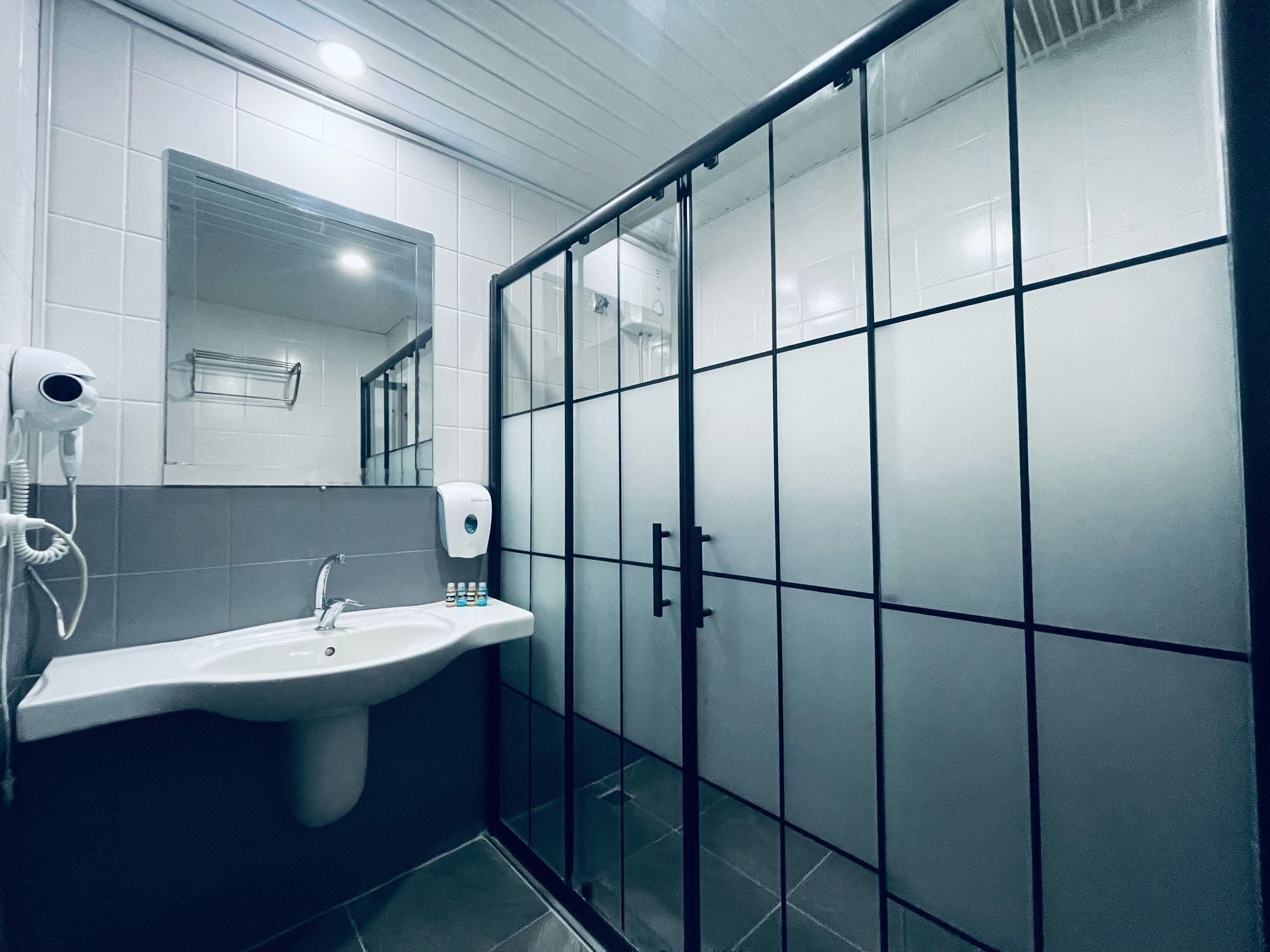 A modern bathroom with a white sink, a handheld hair dryer, a soap dispenser, and a glass shower enclosure.