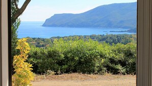 A view of a coastal landscape with a vineyard in the foreground and a mountain in the background.