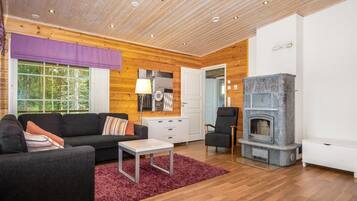 Televisio, DVD-soitin