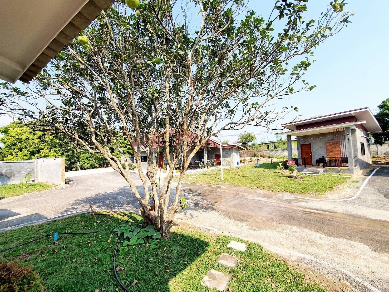 Zona residencial con una casa, un árbol y un camino de entrada pavimentado.
