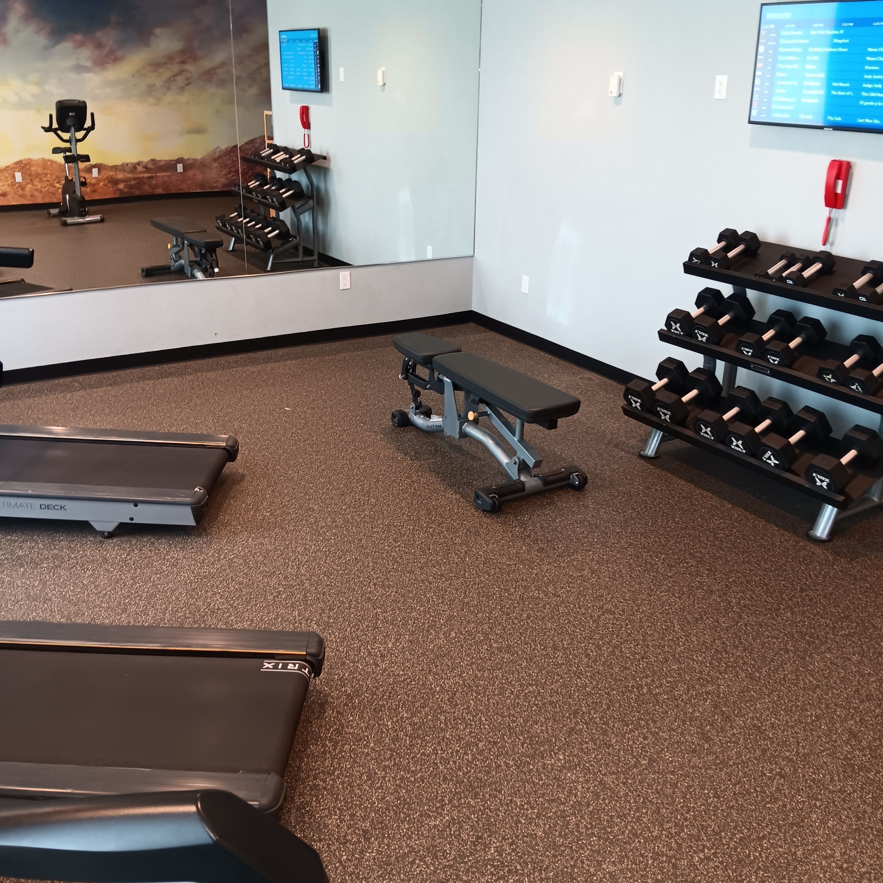 A gym with treadmills, a bench, and a rack of dumbbells.
