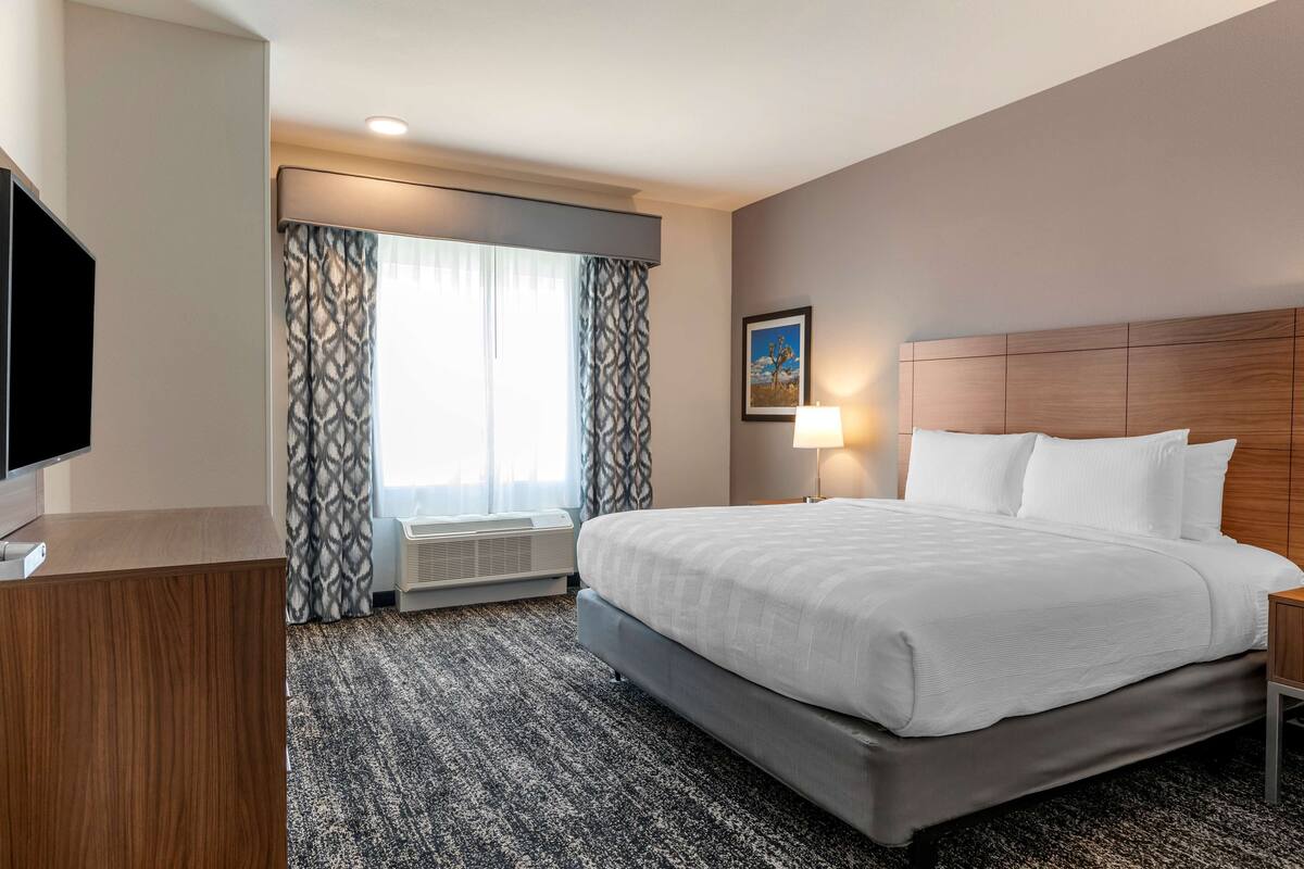 A hotel room with a large bed, a flat-screen TV, a desk, and a window with patterned curtains.