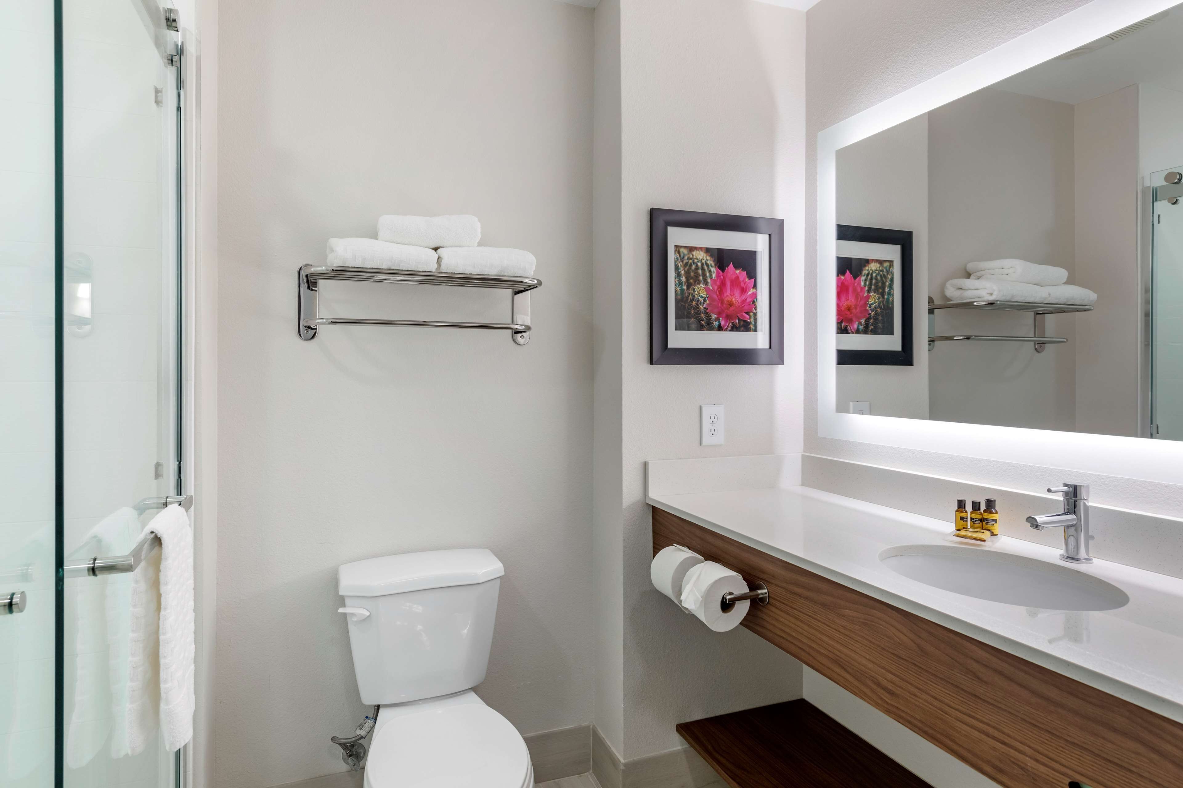 suite, 2 queen beds, accessible, refrigerator & microwave (with sofabed) | bathroom | free toiletries, hair dryer, towels, soap