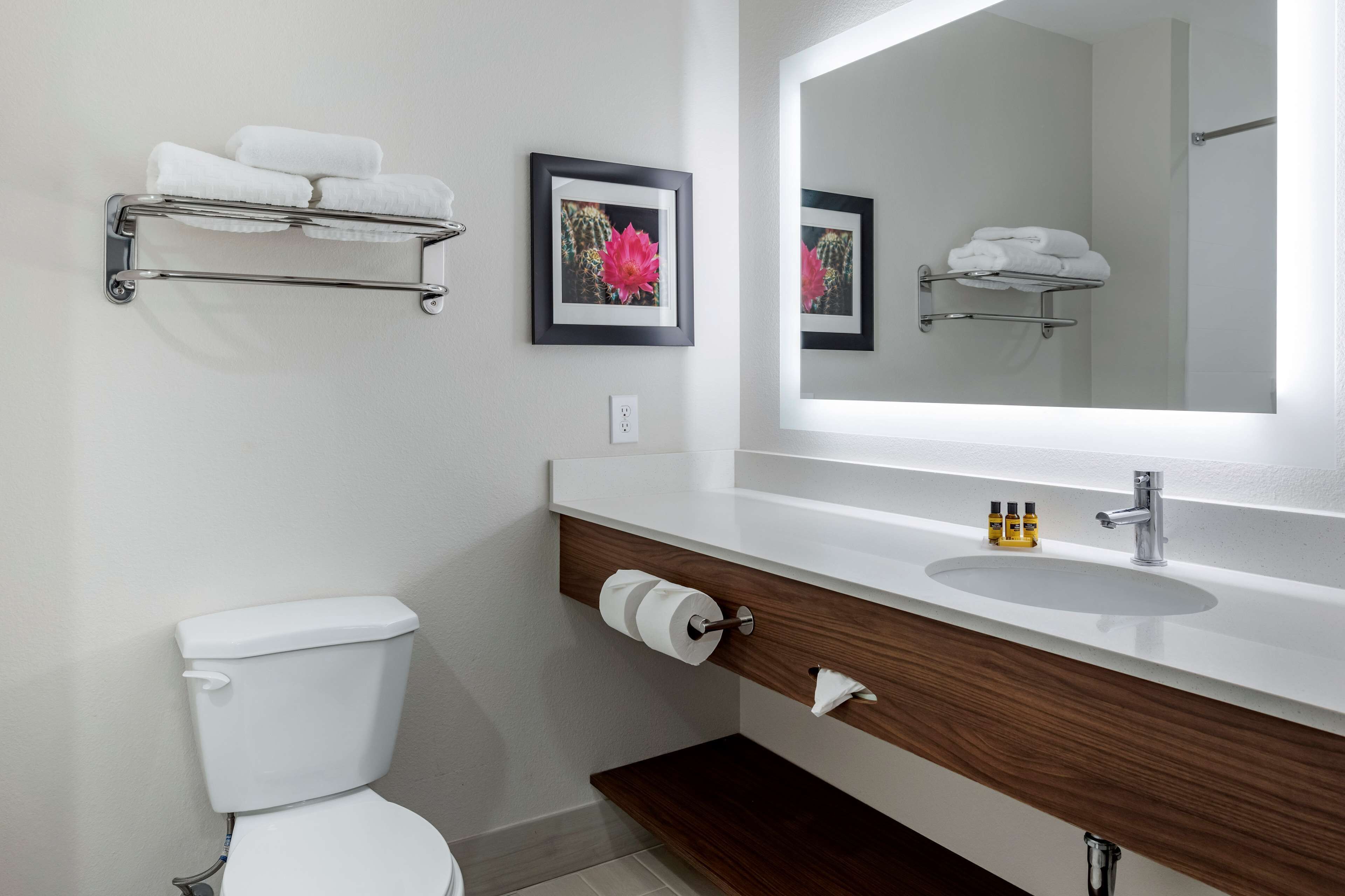 suite, 1 king bed, non smoking, refrigerator & microwave (with sofabed) | bathroom | free toiletries, hair dryer, towels, soap