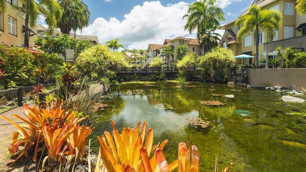 Une cour paisible avec un bassin, entourée de plantes tropicales et de palmiers, et des bâtiments en arrière-plan.