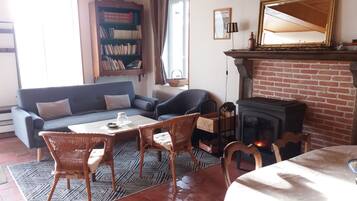 TV, fireplace, books