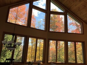 Ein Zimmer mit großen Fenstern und Blick auf buntes Herbstlaub.