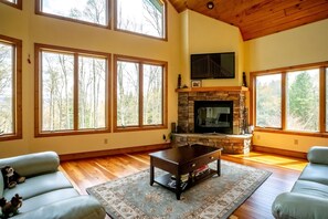 Chimenea, reproductor de DVD