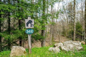 Ein Wegweiser mit Bär-Symbol und der Zahl 21, der auf eine Bären-Überquerungsstelle hinweist, und ein Rundschild mit der Nummer 562.