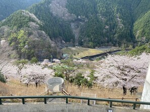 A view of a mountainous area with cherry blossoms and a concrete structure in the foreground. - Riverside Hostel B&B – Hostel (Katsuragi)