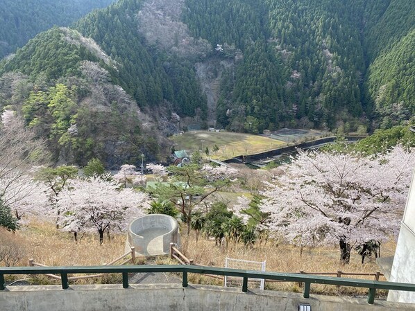 A view of a mountainous area with cherry blossoms and a concrete structure in the foreground.