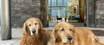 Riverside Hostel B&B – Hostel