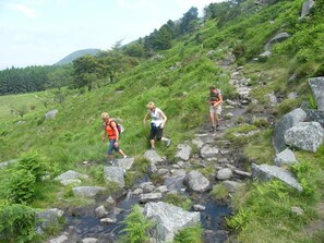 Drei Wanderer auf einem steinigen Pfad, umgeben von Grün und einer Bergkulisse.