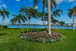 Un parco con palme, un aiuola fiorita e una panchina.