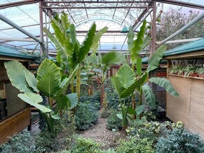 Garden - Eco Hotel (Tashkent)
