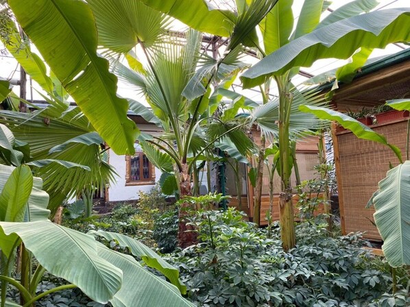 Garden - Eco Hotel (Tashkent)