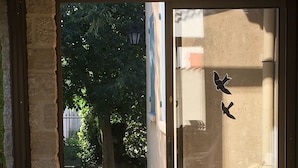 Un espace patio avec deux fauteuils en osier, une petite table et une vue sur un jardin, visible à travers une porte vitrée.