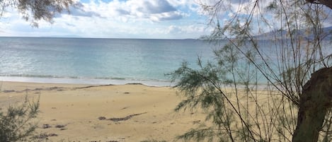 Plage à proximité