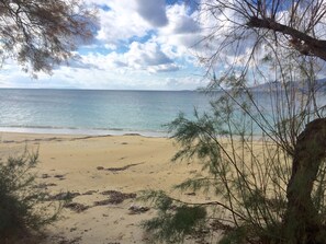 Playa en los alrededores 