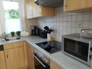 Microondas, horno, lavavajillas y periquera 