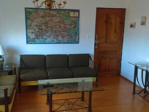 TV, books - Departamento Comodo, Centrico, Estacionamiento (Santiago de Querétaro)