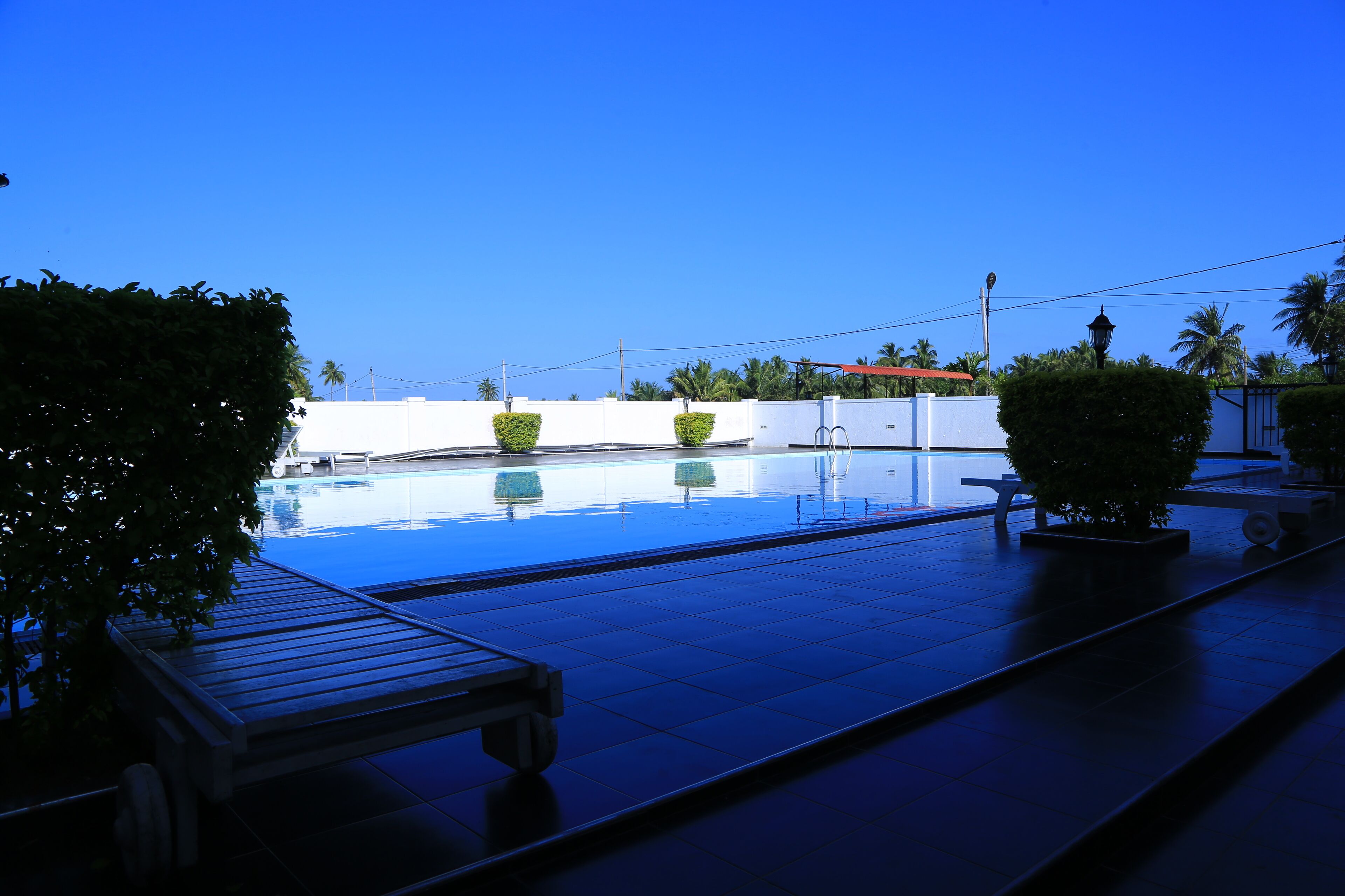 A swimming pool with lounge chairs and potted plants, surrounded by a white wall and palm trees.