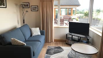 Smart TV, DVD player, books