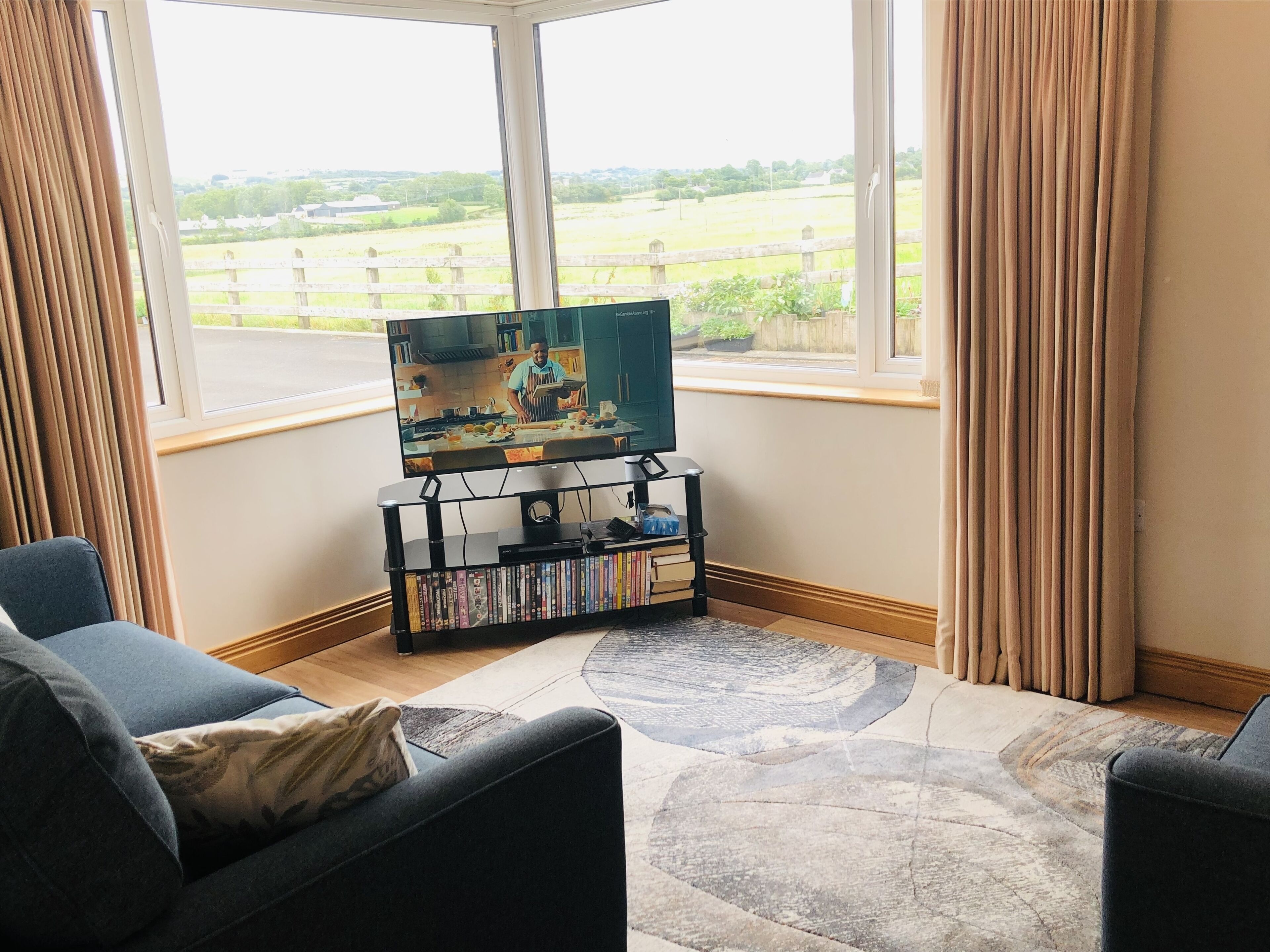 Smart TV, reproductor de DVD y libros 