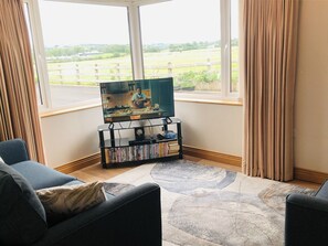 Smart TV, DVD player, books