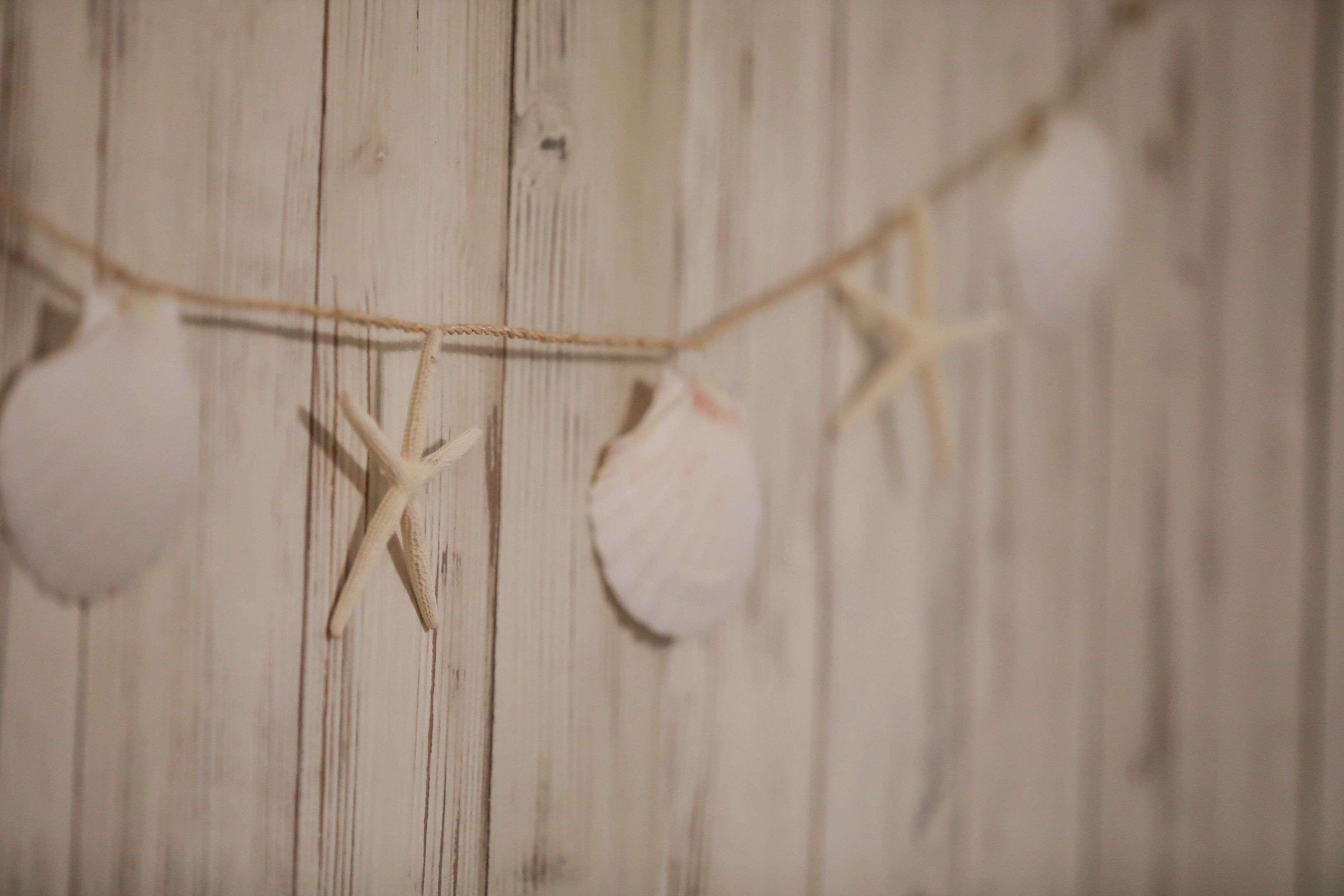 A string of seashells and starfish against a wooden background.