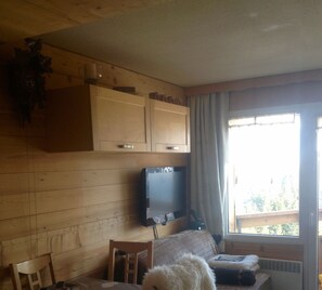 TV, fireplace, ping pong