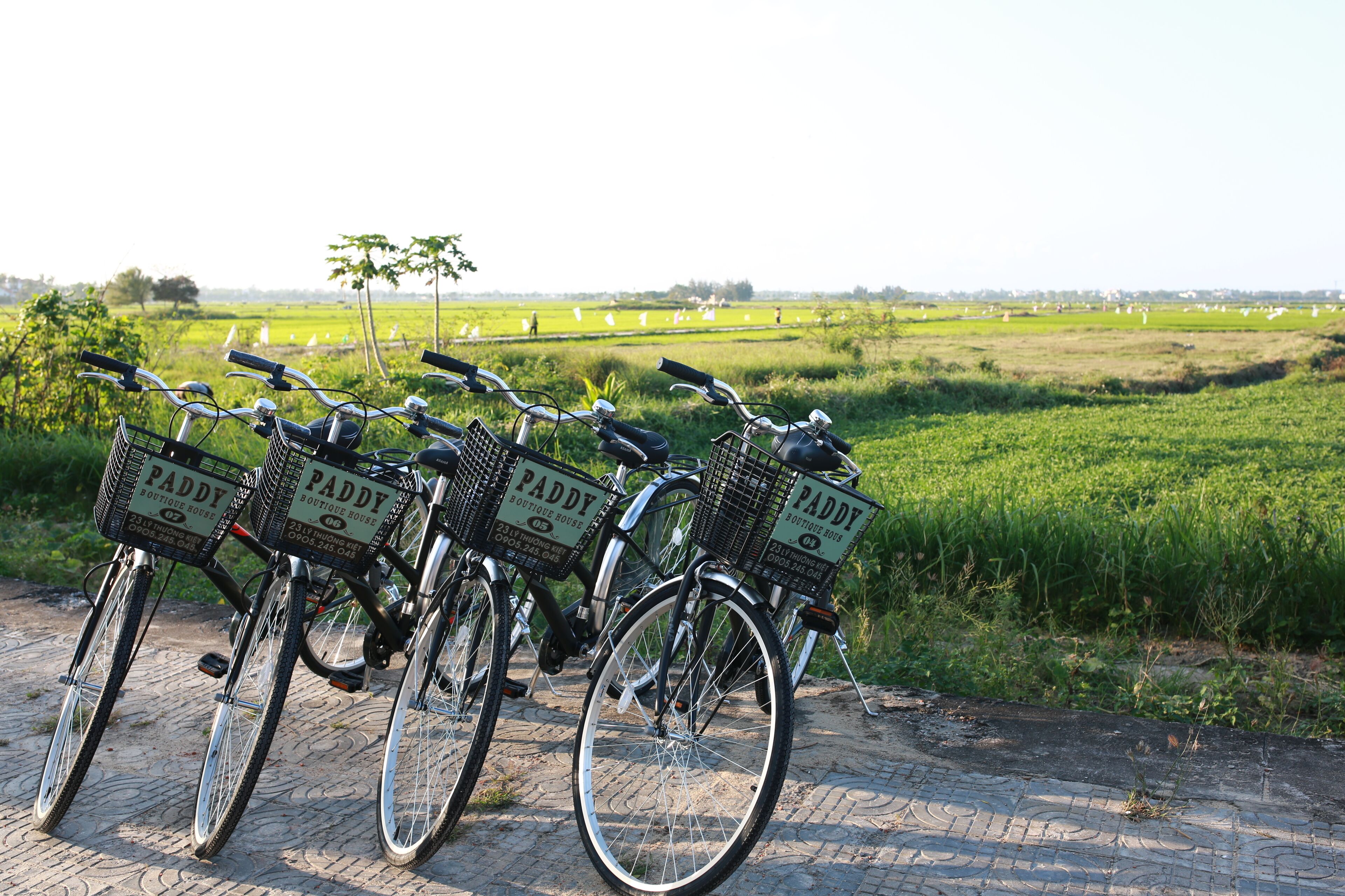 Photo - Paddy Boutique House Hoian