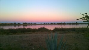 Una vista serena de un lago, con cielo despejado, agua tranquila y vegetación escasa.