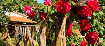 Agriturismo Millefiori