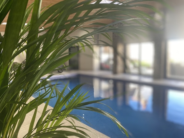 Un espace piscine avec une eau claire, entouré de plantes d’intérieur.