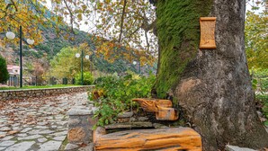 A stone pathway leading to a rustic wooden bench and a tree with a plaque. - Villa Kleinos: A truly magnificent villa 30 minutes from Meteora Greece (Kalambaka)