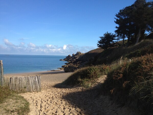 On the beach, sun loungers - Superb apartment with sea view / terrace (50 m²) / Rochebonne -Saint Malo (Saint-Malo)